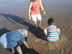 -春花秋色城市公园