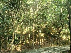 -高榜山景区