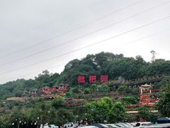 -枇杷园食为鲜火锅(南山店)