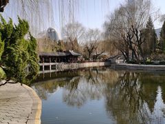 -团结湖公园
