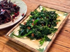 清炒田七苗-缘生态云南菜·野生菌庭院餐厅(华侨城店)