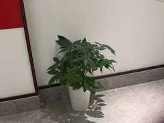 -千滋百味·醉江澜花园餐厅(街道口店)
