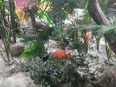 -海合安武汉极地海洋公园