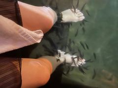 -凤翔首邑温泉度假村