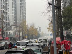 -钓鱼猫面(民心佳园店)
