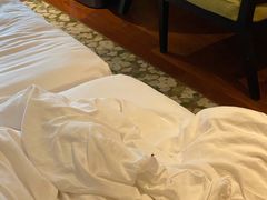 -上海崇明金茂凯悦酒店