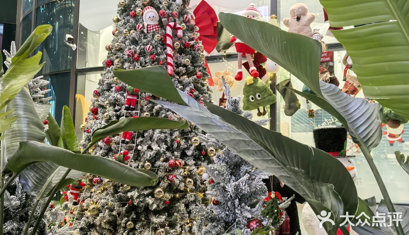 圣诞节🎄氛围感餐厅‼️