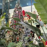 圣诞节🎄氛围感餐厅‼️