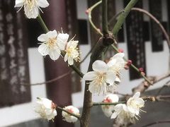 -成都杜甫草堂博物馆
