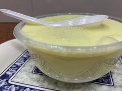 椰汁奶糊-百花传统甜品店(原址店)