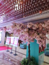 -重庆军美医疗美容医院