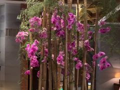 -浅深Cheersum(曹杨店)