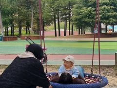 -羊亭河湿地公园