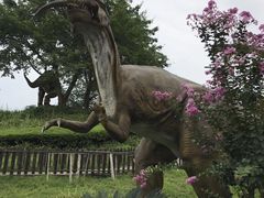 -自贡恐龙博物馆