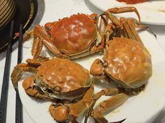 -半岛听涛蒸汽海鲜自助(K11店)