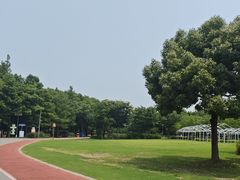 -上海长兴岛郊野公园