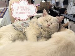 -万达广场(大明宫店)
