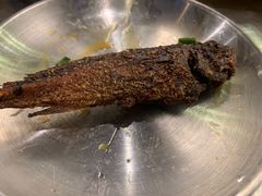 -有局·成都市井烧烤·精酿啤酒(双楠店)