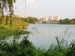 -高子水居
