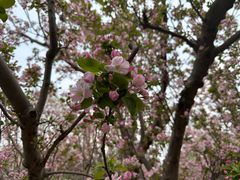 -元大都城垣遗址公园