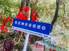 -炎陵县神农谷国家森林公园