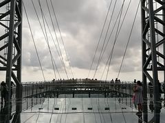 -呀诺达热带雨林