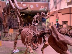 -陕西自然博物馆