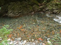 -西岭雪山大飞水景区