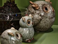 -小西家作•精致蛋糕(富力爱丁堡店)