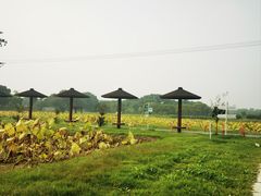 -嘉北郊野公园