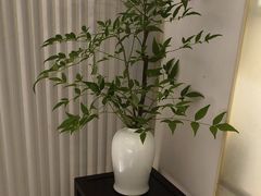 -墨宴(西洋湖店)