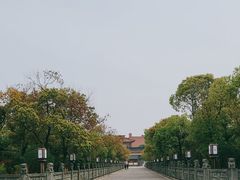 -高旻寺