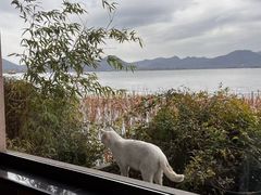 -湖畔居茶楼(湖滨店)