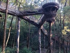 -石燕湖生态旅游景区