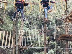 -梦幻奥陶纪景区