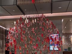 -深圳湾万怡酒店