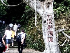 -龙岩森林水乡景区