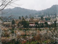 -樱桃山旅游景区
