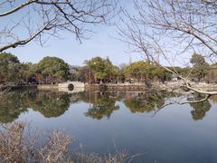 -无锡蠡湖国家湿地公园-蠡园