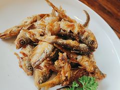 -皖小斌·小葱伴豆腐(丰收路店)