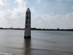 -东郊椰林