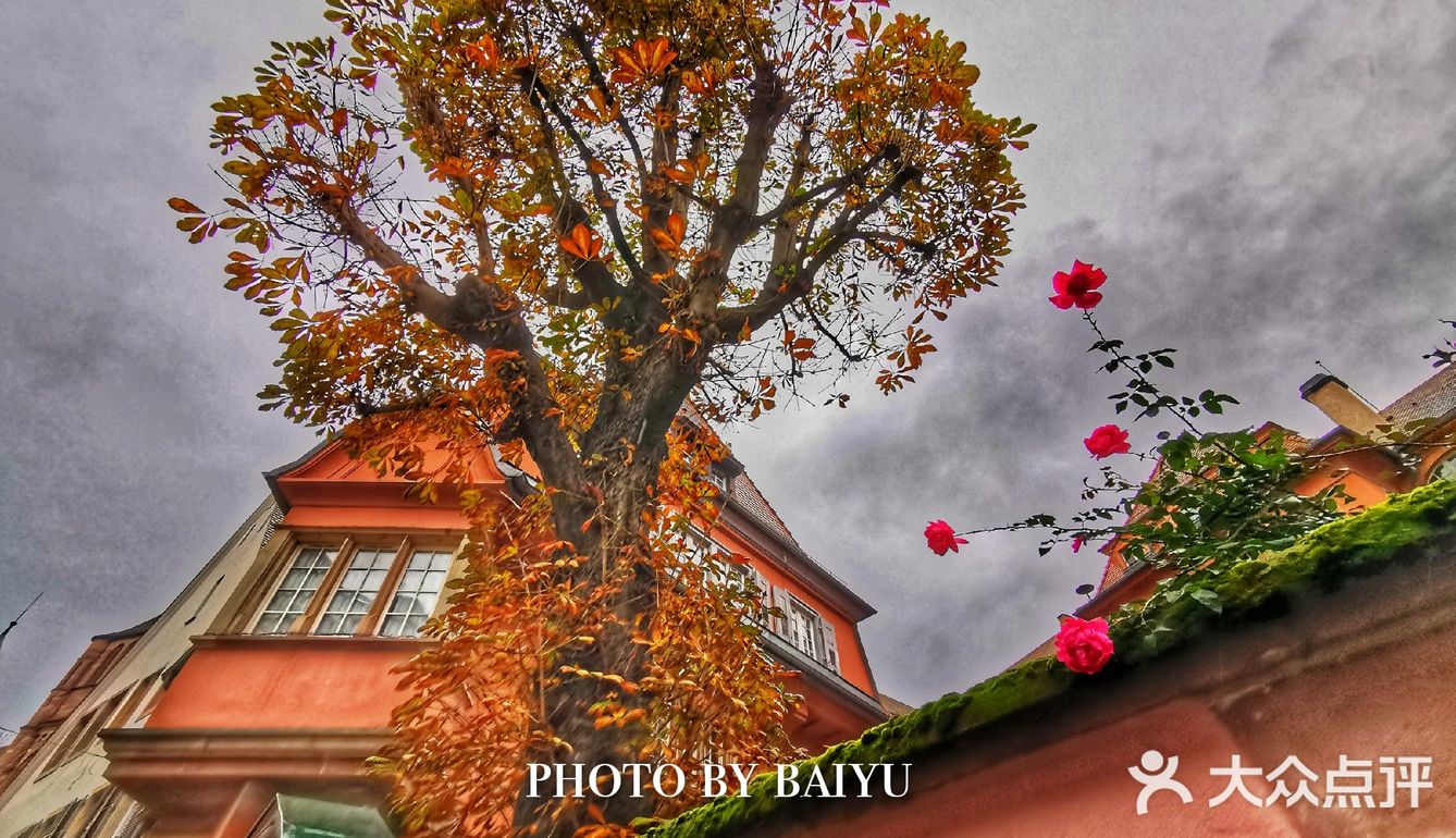 法国🇫🇷  烟雨☔️ 中的斯特拉斯堡，游玩攻略