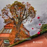 法国🇫🇷  烟雨☔️ 中的斯特拉斯堡，游玩攻略