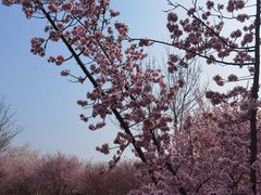 -江苏三台山国家森林公园