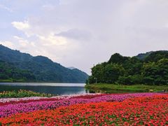-广州市石门国家森林公园