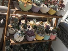 -蜜舍咖啡(洋人街店)