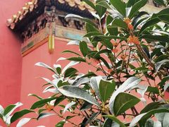 -北京市劳动人民文化宫(太庙)