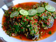 -金塔傣乡·云南民族特色菜·傣味手抓饭(金瓦路店)