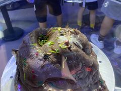 -侏罗纪世界电影特展(广州站)