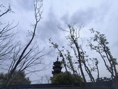 -龙华寺